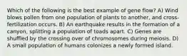 Which of the following is the best example of gene flow? A) Wind blows pollen from one population of plants to another, and cross-fertilization occurs. B) An earthquake results in the formation of a canyon, splitting a population of toads apart. C) Genes are shuffled by the crossing over of chromosomes during meiosis. D) A small population of humans colonizes a newly formed island.