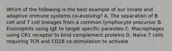 Which of the following is the best example of our innate and adaptive immune systems co-evolving? A. The separation of B cell and T cell lineages from a common lymphocyte precursor B. Eosinophils using IgE to target specific parasites C. Macrophages using CR1 receptor to bind complement proteins D. Naïve T cells requiring TCR and CD28 co-stimulation to activate