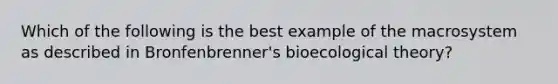 Which of the following is the best example of the macrosystem as described in Bronfenbrenner's bioecological theory?