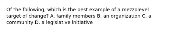 Of the following, which is the best example of a mezzolevel target of change? A. family members B. an organization C. a community D. a legislative initiative