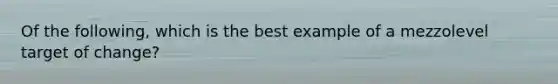 Of the following, which is the best example of a mezzolevel target of change?