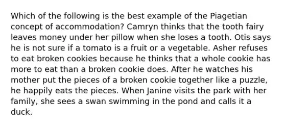 Which of the following is the best example of the Piagetian concept of accommodation? Camryn thinks that the tooth fairy leaves money under her pillow when she loses a tooth. Otis says he is not sure if a tomato is a fruit or a vegetable. Asher refuses to eat broken cookies because he thinks that a whole cookie has more to eat than a broken cookie does. After he watches his mother put the pieces of a broken cookie together like a puzzle, he happily eats the pieces. When Janine visits the park with her family, she sees a swan swimming in the pond and calls it a duck.