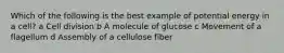 Which of the following is the best example of potential energy in a cell? a Cell division b A molecule of glucose c Movement of a flagellum d Assembly of a cellulose fiber