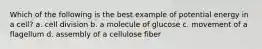 Which of the following is the best example of potential energy in a cell? a. cell division b. a molecule of glucose c. movement of a flagellum d. assembly of a cellulose fiber