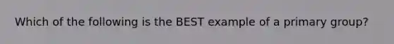 Which of the following is the BEST example of a primary group?