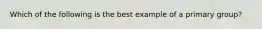 Which of the following is the best example of a primary group?