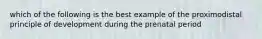 which of the following is the best example of the proximodistal principle of development during the prenatal period