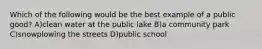 Which of the following would be the best example of a public good? A)clean water at the public lake B)a community park C)snowplowing the streets D)public school