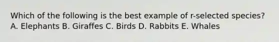 Which of the following is the best example of r-selected species? A. Elephants B. Giraffes C. Birds D. Rabbits E. Whales