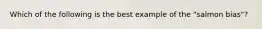 Which of the following is the best example of the "salmon bias"?