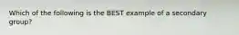 Which of the following is the BEST example of a secondary group?