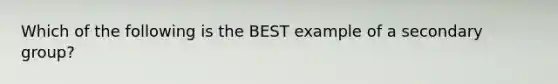 Which of the following is the BEST example of a secondary group?