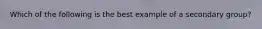 Which of the following is the best example of a secondary group?