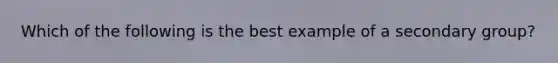 Which of the following is the best example of a secondary group?