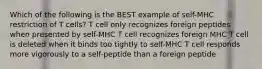 Which of the following is the BEST example of self-MHC restriction of T cells? T cell only recognizes foreign peptides when presented by self-MHC T cell recognizes foreign MHC T cell is deleted when it binds too tightly to self-MHC T cell responds more vigorously to a self-peptide than a foreign peptide