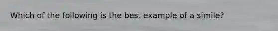 Which of the following is the best example of a simile?