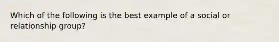Which of the following is the best example of a social or relationship group?