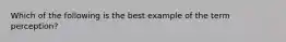 Which of the following is the best example of the term perception?