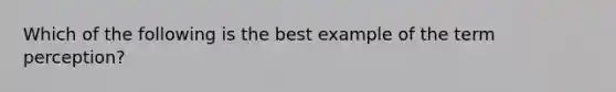 Which of the following is the best example of the term perception?