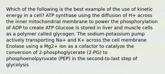 Which of the following is the best example of the use of kinetic energy in a cell? ATP synthase using the diffusion of H+ across the inner mitochondrial membrane to power the phosphorylation of ADP to create ATP Glucose is stored in liver and muscle cells as a polymer called glycogen. The sodium-potassium pump actively transporting Na+ and K+ across the cell membrane Enolase using a Mg2+ ion as a cofactor to catalyze the conversion of 2-phosphoglycerate (2-PG) to phosphoenolpyruvate (PEP) in the second-to-last step of glycolysis