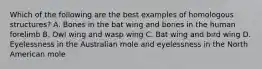 Which of the following are the best examples of homologous structures? A. Bones in the bat wing and bones in the human forelimb B. Owl wing and wasp wing C. Bat wing and bird wing D. Eyelessness in the Australian mole and eyelessness in the North American mole