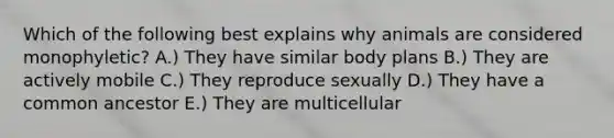 Which of the following best explains why animals are considered monophyletic? A.) They have similar body plans B.) They are actively mobile C.) They reproduce sexually D.) They have a common ancestor E.) They are multicellular