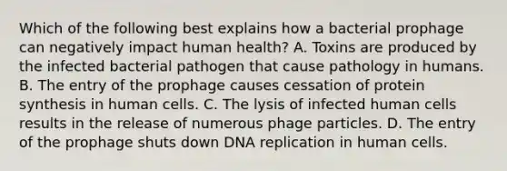 Which of the following best explains how a bacterial prophage can negatively impact human health? A. Toxins are produced by the infected bacterial pathogen that cause pathology in humans. B. The entry of the prophage causes cessation of protein synthesis in human cells. C. The lysis of infected human cells results in the release of numerous phage particles. D. The entry of the prophage shuts down DNA replication in human cells.