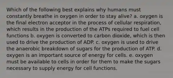 Which of the following best explains why humans must constantly breathe in oxygen in order to stay alive? a. oxygen is the final electron acceptor in the process of cellular respiration, which results in the production of the ATPs required to fuel cell functions b. oxygen is converted to carbon dioxide, which is then used to drive the production of ADP. c. oxygen is used to drive the anaerobic breakdown of sugars for the production of ATP. d. oxygen is an important source of energy for cells. e. oxygen must be available to cells in order for them to make the sugars necessary to supply energy for cell functions.