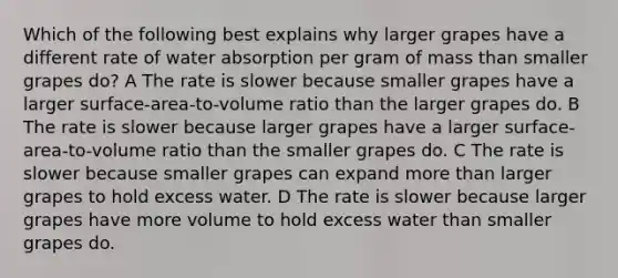 Which of the following best explains why larger grapes have a different rate of water absorption per gram of mass than smaller grapes do? A The rate is slower because smaller grapes have a larger surface-area-to-volume ratio than the larger grapes do. B The rate is slower because larger grapes have a larger surface-area-to-volume ratio than the smaller grapes do. C The rate is slower because smaller grapes can expand more than larger grapes to hold excess water. D The rate is slower because larger grapes have more volume to hold excess water than smaller grapes do.