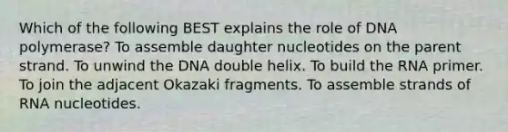 Which of the following BEST explains the role of DNA polymerase? To assemble daughter nucleotides on the parent strand. To unwind the DNA double helix. To build the RNA primer. To join the adjacent Okazaki fragments. To assemble strands of RNA nucleotides.