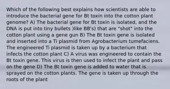 Which of the following best explains how scientists are able to introduce the bacterial gene for Bt toxin into the cotton plant genome? A) The bacterial gene for Bt toxin is isolated, and the DNA is put into tiny bullets )like BB's) that are "shot" into the cotton plant using a gene gun B) The Bt toxin gene is isolated and inserted into a Ti plasmid from Agrobacterium tumefaciens. The engineered Ti plasmid is taken up by a bacterium that infects the cotton plant C) A virus was engineered to contain the Bt toxin gene. This virus is then used to infect the plant and pass on the gene D) The Bt toxin gene is added to water that is sprayed on the cotton plants. The gene is taken up through the roots of the plant