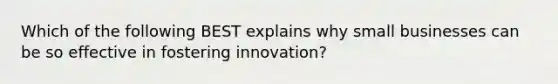 Which of the following BEST explains why small businesses can be so effective in fostering innovation?