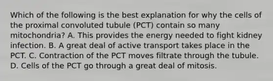 Which of the following is the best explanation for why the cells of the proximal convoluted tubule (PCT) contain so many mitochondria? A. This provides the energy needed to fight kidney infection. B. A great deal of active transport takes place in the PCT. C. Contraction of the PCT moves filtrate through the tubule. D. Cells of the PCT go through a great deal of mitosis.