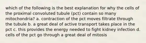 which of the following is the best explanation for why the cells of the proximal convoluted tubule (pct) contain so many mitochondria? a. contraction of the pct moves filtrate through the tubule b. a great deal of active transport takes place in the pct c. this provides the energy needed to fight kidney infection d. cells of the pct go through a great deal of mitosis