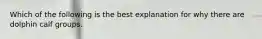 Which of the following is the best explanation for why there are dolphin calf groups.