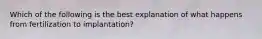 Which of the following is the best explanation of what happens from fertilization to implantation?