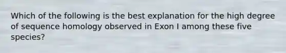 Which of the following is the best explanation for the high degree of sequence homology observed in Exon I among these five species?