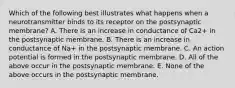 Which of the following best illustrates what happens when a neurotransmitter binds to its receptor on the postsynaptic membrane? A. There is an increase in conductance of Ca2+ in the postsynaptic membrane. B. There is an increase in conductance of Na+ in the postsynaptic membrane. C. An action potential is formed in the postsynaptic membrane. D. All of the above occur in the postsynaptic membrane. E. None of the above occurs in the postsynaptic membrane.