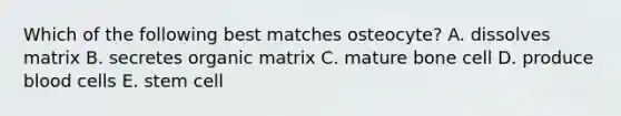 Which of the following best matches osteocyte? A. dissolves matrix B. secretes organic matrix C. mature bone cell D. produce blood cells E. stem cell