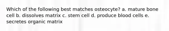 Which of the following best matches osteocyte? a. mature bone cell b. dissolves matrix c. stem cell d. produce blood cells e. secretes organic matrix