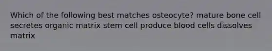 Which of the following best matches osteocyte? mature bone cell secretes organic matrix stem cell produce blood cells dissolves matrix