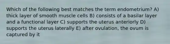 Which of the following best matches the term endometrium? A) thick layer of smooth muscle cells B) consists of a basilar layer and a functional layer C) supports the uterus anteriorly D) supports the uterus laterally E) after ovulation, the ovum is captured by it