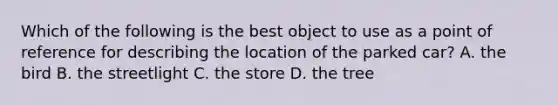 Which of the following is the best object to use as a point of reference for describing the location of the parked car? A. the bird B. the streetlight C. the store D. the tree