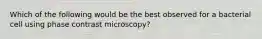 Which of the following would be the best observed for a bacterial cell using phase contrast microscopy?