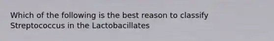 Which of the following is the best reason to classify Streptococcus in the Lactobacillates