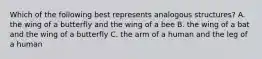 Which of the following best represents analogous structures? A. the wing of a butterfly and the wing of a bee B. the wing of a bat and the wing of a butterfly C. the arm of a human and the leg of a human