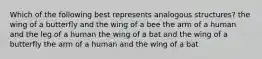 Which of the following best represents analogous structures? the wing of a butterfly and the wing of a bee the arm of a human and the leg of a human the wing of a bat and the wing of a butterfly the arm of a human and the wing of a bat