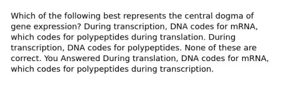 Which of the following best represents the central dogma of gene expression? During transcription, DNA codes for mRNA, which codes for polypeptides during translation. During transcription, DNA codes for polypeptides. None of these are correct. You Answered During translation, DNA codes for mRNA, which codes for polypeptides during transcription.