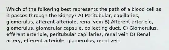 Which of the following best represents the path of a blood cell as it passes through the kidney? A) Peritubular, capillaries, glomerulus, afferent arteriole, renal vein B) Afferent arteriole, glomerulus, glomerular capsule, collecting duct. C) Glomerulus, efferent arteriole, peritubular capillaries, renal vein D) Renal artery, efferent arteriole, glomerulus, renal vein