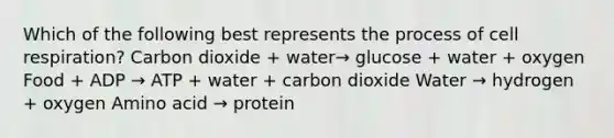 Which of the following best represents the process of cell respiration? Carbon dioxide + water→ glucose + water + oxygen Food + ADP → ATP + water + carbon dioxide Water → hydrogen + oxygen Amino acid → protein